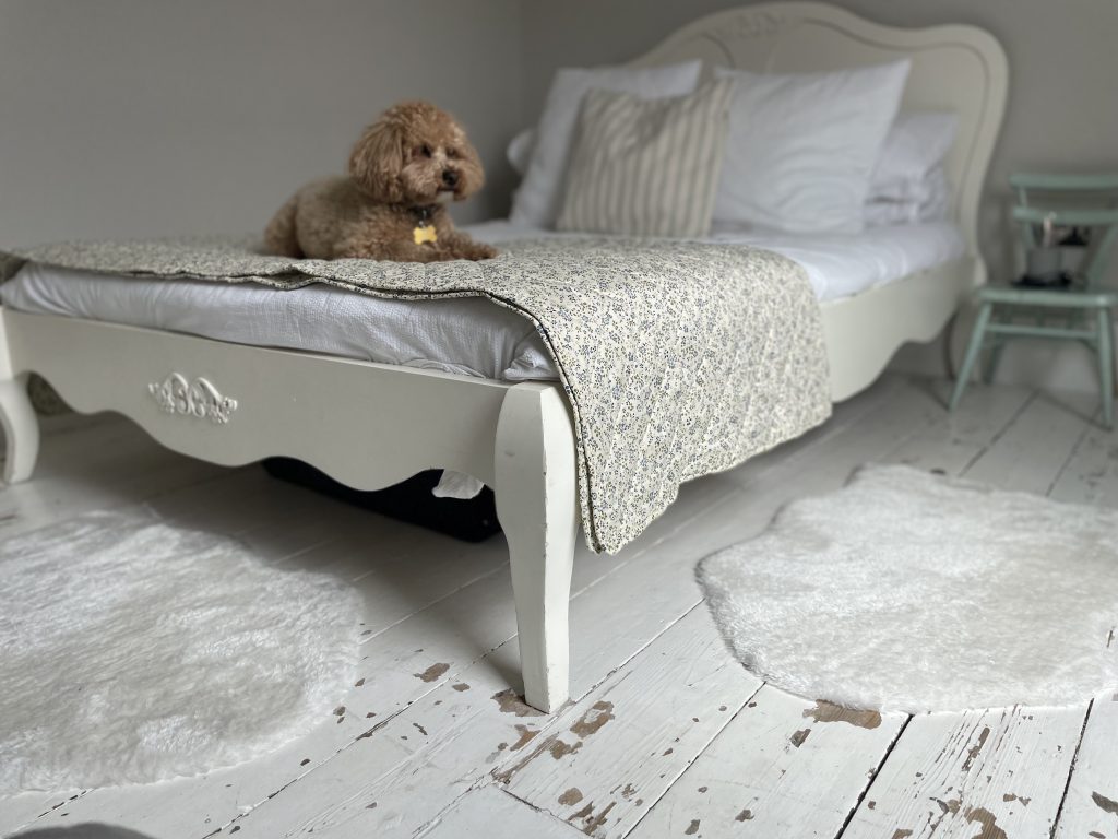a picture of a double bed, white french style, with a dog on top